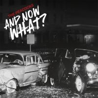 Peacocks The - And Now What? (Coloured Vinyl Lp) ryhmässä VINYYLI @ Bengans Skivbutik AB (5566784)