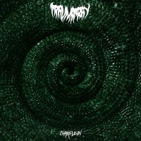 Trauma Ray - Chameleon ryhmässä ME SUOSITTELEMME / Perjantain julkaisut /  @ Bengans Skivbutik AB (5567040)