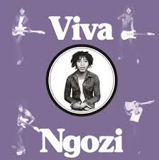 Paul  Ngozi - Viva Ngozi (Opaque Orange Vinyl) (Rsd) ryhmässä Övrigt /  @ Bengans Skivbutik AB (5568345)