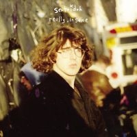 Sentridoh - Really Insane : A Lou Barlow Compen ryhmässä ME SUOSITTELEMME / Perjantain julkaisut / Perjantai 15 marraskuuta 2024 @ Bengans Skivbutik AB (5568524)