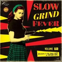 Various Artists - Slow Grind Fever 12 ryhmässä ME SUOSITTELEMME / Perjantain julkaisut / Perjantai 29 marraskuuta 2024 @ Bengans Skivbutik AB (5569076)