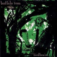 Buffalo Tom - Birdbrain ryhmässä VINYYLI @ Bengans Skivbutik AB (5569207)