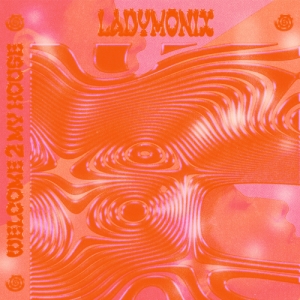 Ladymonix - Welcome 2 My House ryhmässä VINYYLI / Elektroniskt @ Bengans Skivbutik AB (5571804)