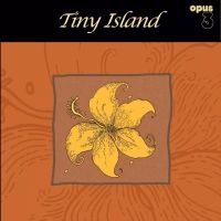 Tiny Island - Tiny Island ryhmässä VINYYLI / Nyheter / Blues @ Bengans Skivbutik AB (5571951)