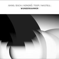 Bang / Duch / Honoré / Toop / Waste - Wunderkammer ryhmässä VINYYLI / Kommande / Jazz @ Bengans Skivbutik AB (5572219)