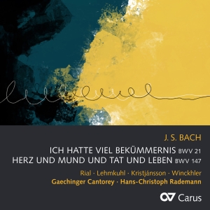 Johann Sebastian Bach - Johann Sebastian Bach : Ich Hatte V ryhmässä CD / Klassiskt @ Bengans Skivbutik AB (5572329)