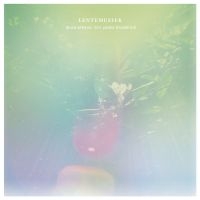 Arkana Laura Met Peter Broderick - Lentemuziek ryhmässä VINYYLI / Pop-Rock @ Bengans Skivbutik AB (5572574)