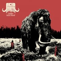 Acid Mammoth - Under Acid Hoof ryhmässä VINYYLI / Pop-Rock @ Bengans Skivbutik AB (5572963)