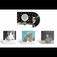 Wilson Steven - December Skies ryhmässä VINYYLI / Kommande / Pop-Rock @ Bengans Skivbutik AB (5573504)