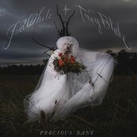 Jim White - Precious Bane ryhmässä VINYYLI / Kommande / Pop-Rock @ Bengans Skivbutik AB (5573506)