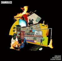 Shambolics - Dreams, Schemes & Young Teams ryhmässä CD @ Bengans Skivbutik AB (5573607)