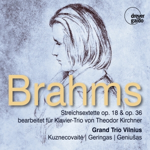 Grand Trio Vilnius - Johannes Brahms: String Sextets Opp ryhmässä ME SUOSITTELEMME / Joululahjavinkki: CD @ Bengans Skivbutik AB (5573902)