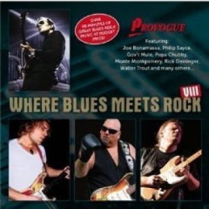 Various Artists - Where Blues Meets Rock Viii ryhmässä CD / Jazz,Pop-Rock @ Bengans Skivbutik AB (557438)