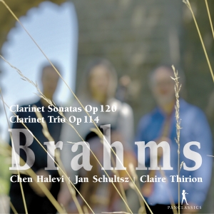 Brahms - Clarinet Sonatas Op. 120, Clarinet ryhmässä ME SUOSITTELEMME / Joululahjavinkki: CD @ Bengans Skivbutik AB (5575021)