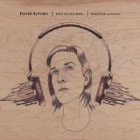 David Sylvian - Died In The Wool - Manafon Variatio ryhmässä ME SUOSITTELEMME / Perjantain julkaisut / 2025-01-31 @ Bengans Skivbutik AB (5575273)