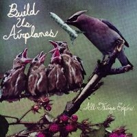 Build Us Airplanes - All Things Expire ryhmässä VINYYLI / Kommande / Pop-Rock @ Bengans Skivbutik AB (5576415)