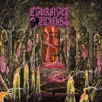 Carnal Tomb - Embalmed In Decay ryhmässä CD / Kommande / Hårdrock @ Bengans Skivbutik AB (5576721)