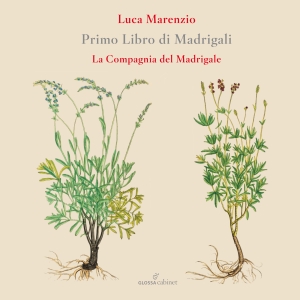 Luca Marenzio - First Book Of Madrigals (1580) ryhmässä ME SUOSITTELEMME / Joululahjavinkki: CD @ Bengans Skivbutik AB (5577002)