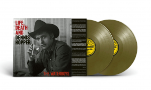 The Waterboys - Life, Death & Dennis Hopper (Burnt Colored 2Lp) ryhmässä VINYYLI / Kommande / Pop-Rock @ Bengans Skivbutik AB (5578184)