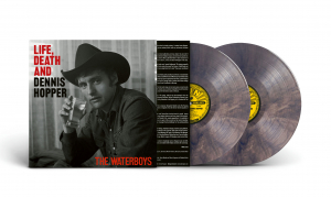 The Waterboys - Life, Death & Dennis Hopper (Psychedelic Waves Colored 2Lp) ryhmässä VINYYLI / Kommande / Pop-Rock @ Bengans Skivbutik AB (5578185)