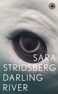 Sara Stridsberg - Darling River ryhmässä Pokkarikirjat @ Bengans Skivbutik AB (5578231)