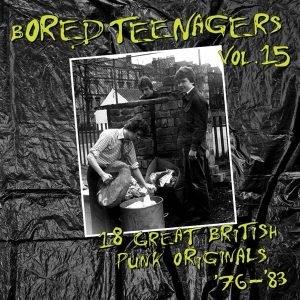 Various Artist - Bored Teenagers, Vol. 15 ryhmässä ME SUOSITTELEMME / Startsida - Vinyl Nyheter & Kommande @ Bengans Skivbutik AB (5578325)