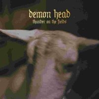 Demon Head - Thunder On The Fields Lp Gold ryhmässä VINYYLI / Hårdrock @ Bengans Skivbutik AB (5578905)