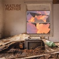 Vulture Feather - It Will Be Like Now (Limited Rose V ryhmässä VINYYLI / Kommande / Pop-Rock @ Bengans Skivbutik AB (5578978)