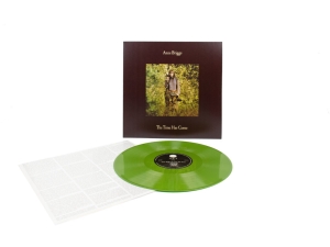 Briggs Anne - The Time Has Come (Green Vinyl) ryhmässä ME SUOSITTELEMME / Perjantain julkaisut / 2025-01-31 @ Bengans Skivbutik AB (5579115)