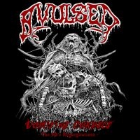 Avulsed - Vomiting Corpses - The 90S Regurgit ryhmässä CD / Hårdrock @ Bengans Skivbutik AB (5579138)