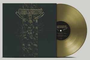 Metempsychosis - Metempsychosis (Gold Vinyl) - Rsd 2025 ryhmässä ME SUOSITTELEMME / Record Store Day / RSD 2025 @ Bengans Skivbutik AB (5582308)