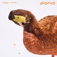 Pond - Early Years: 2008 - 2010 (180G/2Lp)  (Rsd2025) ryhmässä ME SUOSITTELEMME / Record Store Day / RSD 2025 @ Bengans Skivbutik AB (5582630)