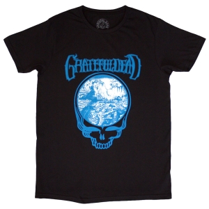 Grateful Dead - Mushrooms Uni Bl T-Shirt ryhmässä MERCHANDISE / T-paita / Pop-Rock @ Bengans Skivbutik AB (5583980r)