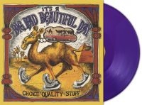 Its A Beautiful Day - Choice Quality Stuff (Purple Vinyl ryhmässä VINYYLI / Kommande / Pop-Rock @ Bengans Skivbutik AB (5584479)