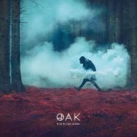 Oak - The Third Sleep ryhmässä CD / Kommande / Pop-Rock @ Bengans Skivbutik AB (5584552)