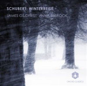 Schubert - Winterreise ryhmässä Externt_Lager / Naxoslager @ Bengans Skivbutik AB (558617)