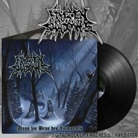 Frozen Shadows - Dans Les Bras Des Immortels (Black ryhmässä VINYYLI / Kommande / Hårdrock @ Bengans Skivbutik AB (5587429)