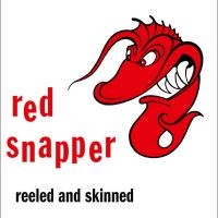 Red Snapper - Reeled And Skinned (30Th Anniversar ryhmässä VINYYLI @ Bengans Skivbutik AB (5588091)