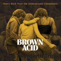 Various Artists - Brown Acid - The Twentieth Trip ryhmässä VINYYLI / Kommande / Pop-Rock @ Bengans Skivbutik AB (5589497)