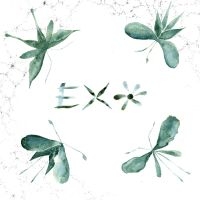 Exo - Exo ryhmässä VINYYLI / Kommande / Pop-Rock @ Bengans Skivbutik AB (5589714)