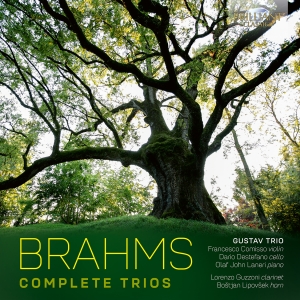 Johannes Brahms - Complete Trios ryhmässä CD @ Bengans Skivbutik AB (5589862)