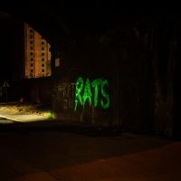 Rats - Rule The World ryhmässä CD / Kommande / Pop-Rock @ Bengans Skivbutik AB (5590546)