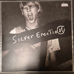 Silver Erection - Politics ryhmässä VINYYLI / Nyheter / Punk @ Bengans Skivbutik AB (5590609)