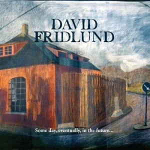 Fridlund David - Some Day, Eventually, In The Futu.. ryhmässä CD / Pop-Rock,Svensk Musik @ Bengans Skivbutik AB (560564)