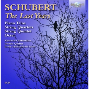 Schubert - The Last Years ryhmässä Externt_Lager / Naxoslager @ Bengans Skivbutik AB (561396)