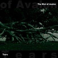 Mist Of Avalon - Tears ryhmässä CD / Hårdrock,Svensk Folkmusik @ Bengans Skivbutik AB (567754)