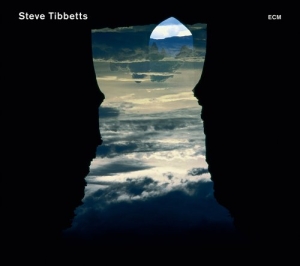 Steve Tibbetts Marc Anderson - Natural Causes ryhmässä CD / Jazz @ Bengans Skivbutik AB (568273)