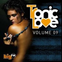 Blandade Artister - Big Fm Tronic Love 9 ryhmässä CD / Dance-Techno @ Bengans Skivbutik AB (569189)