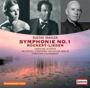 Mahler - Symphony No 1 ryhmässä ME SUOSITTELEMME / Joululahjavinkki: CD @ Bengans Skivbutik AB (570448)