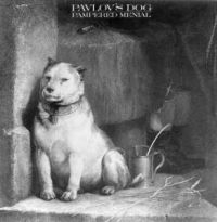 Pavlov's Dog - Pampered Menial ryhmässä CD / Pop-Rock @ Bengans Skivbutik AB (570756)